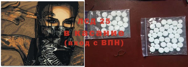 таблы Новозыбков