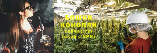 ешки Нефтегорск