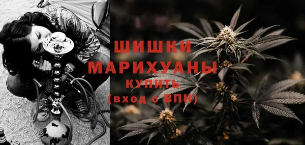 ГАЛЛЮЦИНОГЕННЫЕ ГРИБЫ Нея