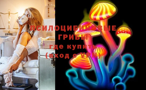 таблы Новозыбков