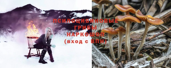 таблы Новозыбков