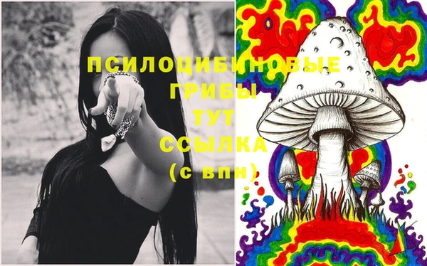 таблы Новозыбков