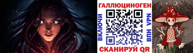 Псилоцибиновые грибы Psilocybine cubensis Новоуральск