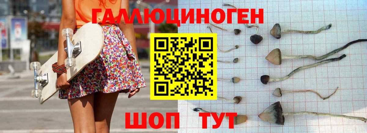 Галлюциногенные грибы MAGIC MUSHROOMS  Псилоцибиновые грибы Cubensis  Новоуральск  Вход с VPN 